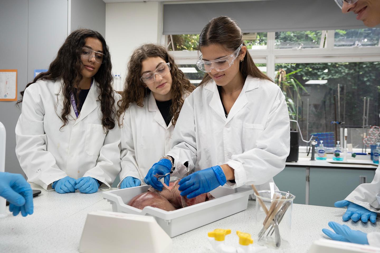 Kensington Park School